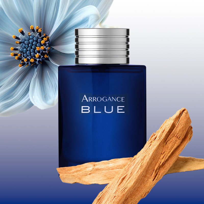 Arrogance Blue Eau De Toilette 100 Ml