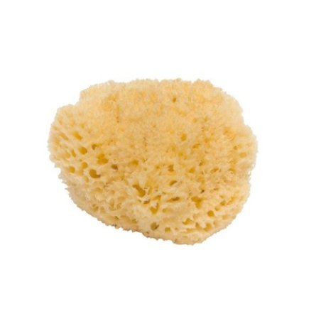 Shasa Natural Sponge Archipelago No 12