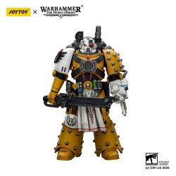 Warhammer 40,000: imperial Fists Action Figure Legion Apothecary 12 cm