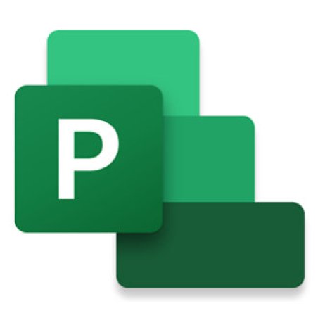 Microsoft Project Standard 2024 Project management Full 1 license(s)