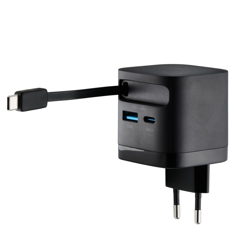 Intenso 7806520 adaptateur de puissance & onduleur Intérieure 65 W Noir