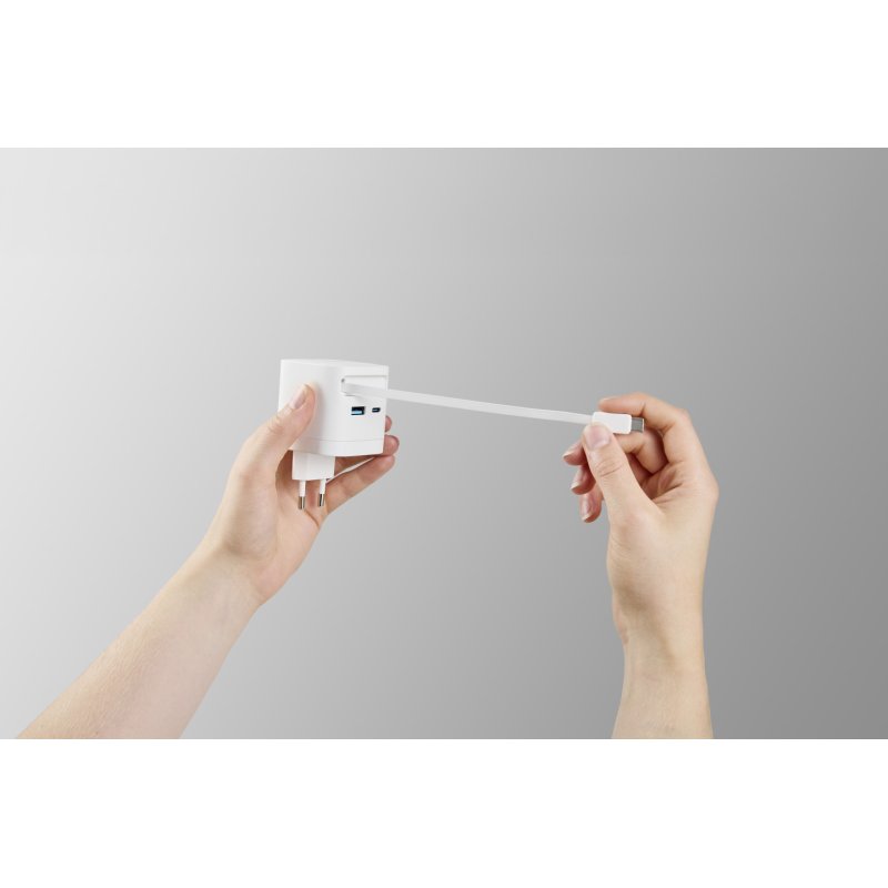 Intenso 7806520 adaptateur de puissance & onduleur Intérieure 65 W Noir