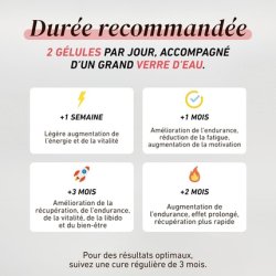 Organic Cordyceps Vegan Capsules for Wellbeing and Performance 56 Capsules