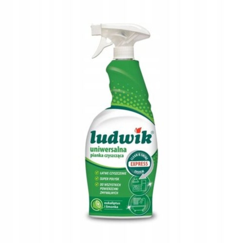 Ludwik Universal Cleaning Foam 750ml
