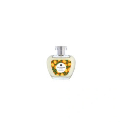 Tuttotondo Cedar Eau De Toilette 100 Ml