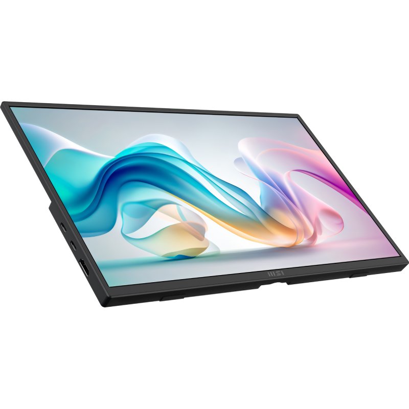 MSI PRO MP165DE E6 40cm (16") FHD