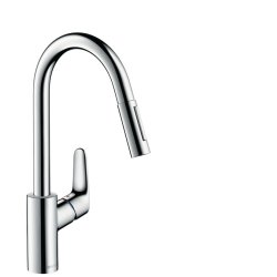Hansgrohe Focus Chrome