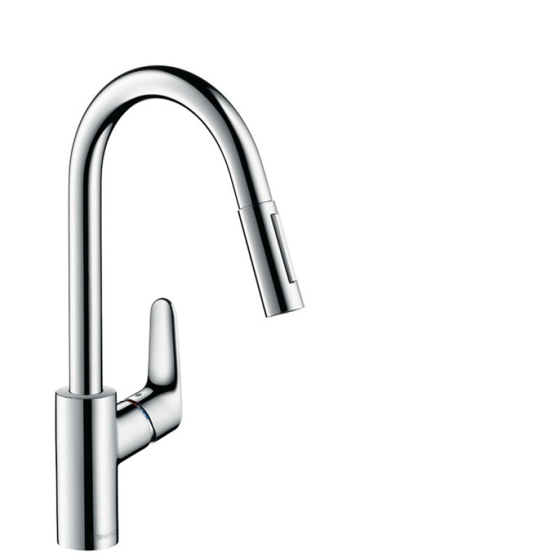 Hansgrohe Focus Chrome