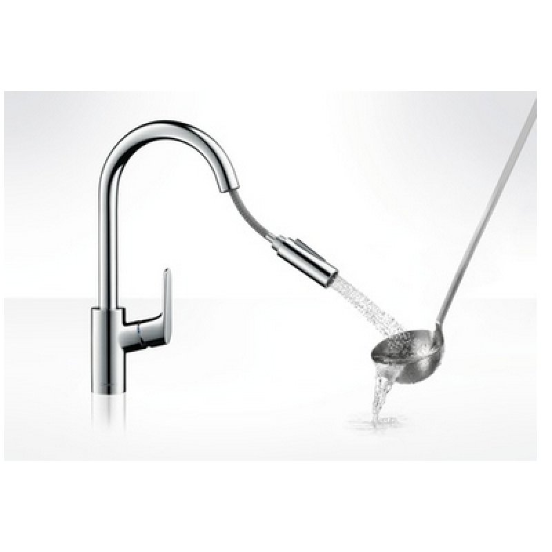 Hansgrohe Focus Chrome