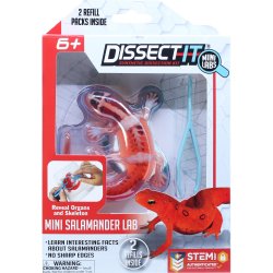 Sensory Compounds - Salamander In Giftbox (12-38085)