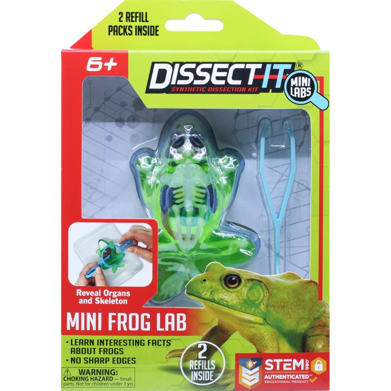 Sensory Compounds - Frog In Giftbox (12-38083)