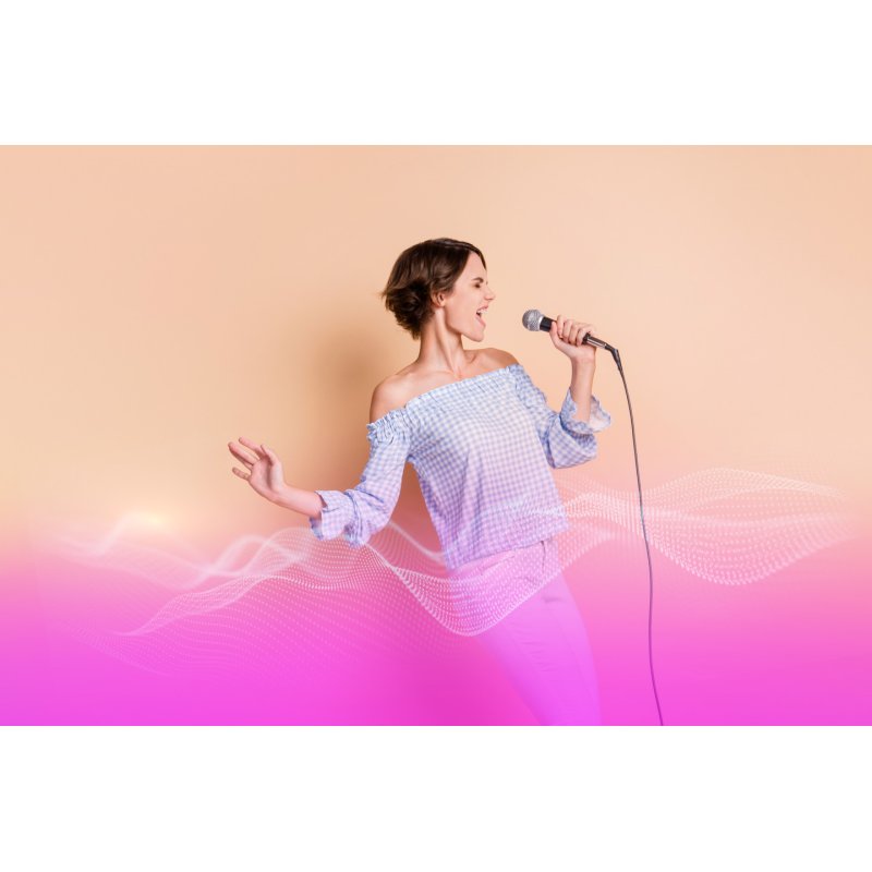 Panasonic SC-BMAX5E-K Portable Party Speaker