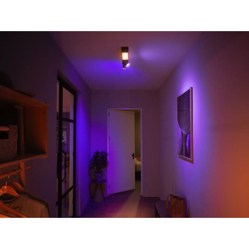 Philips Hue White and colour ambience Centris 2-spot ceiling light
