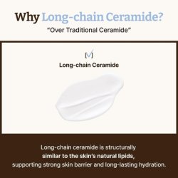 All Dr. Reju-All Advanced LC-Ceramide Barrier Cream