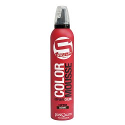 PostQuam PQP05018 crème et mousse capillaire Mousse coiffante 300 ml Fixation