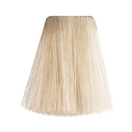 Postquam Cream Hair Dye No 1289