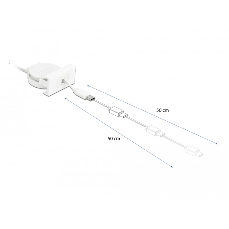 DeLOCK Câble rétractable USB 2.0 de module Easy 45 USB Type-A à USB Type-C, blanc