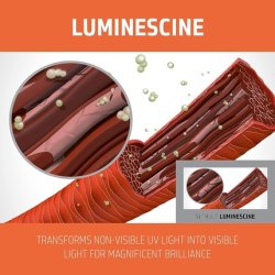 Goldwell Dualsenses Color Revive Color-Enhancing Conditioner 200ml