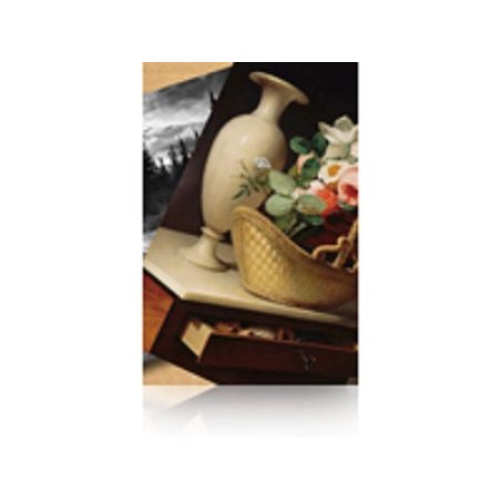 Epson Premium Luster Photo Paper, 60" x 30,5 m, 260g/m²