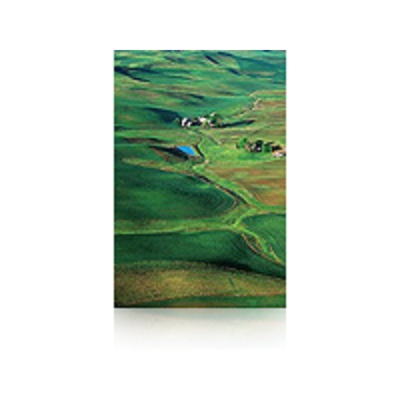 Epson Pap Photo Premium Semi-Glacé (250) 60" (1,524x30,5m)