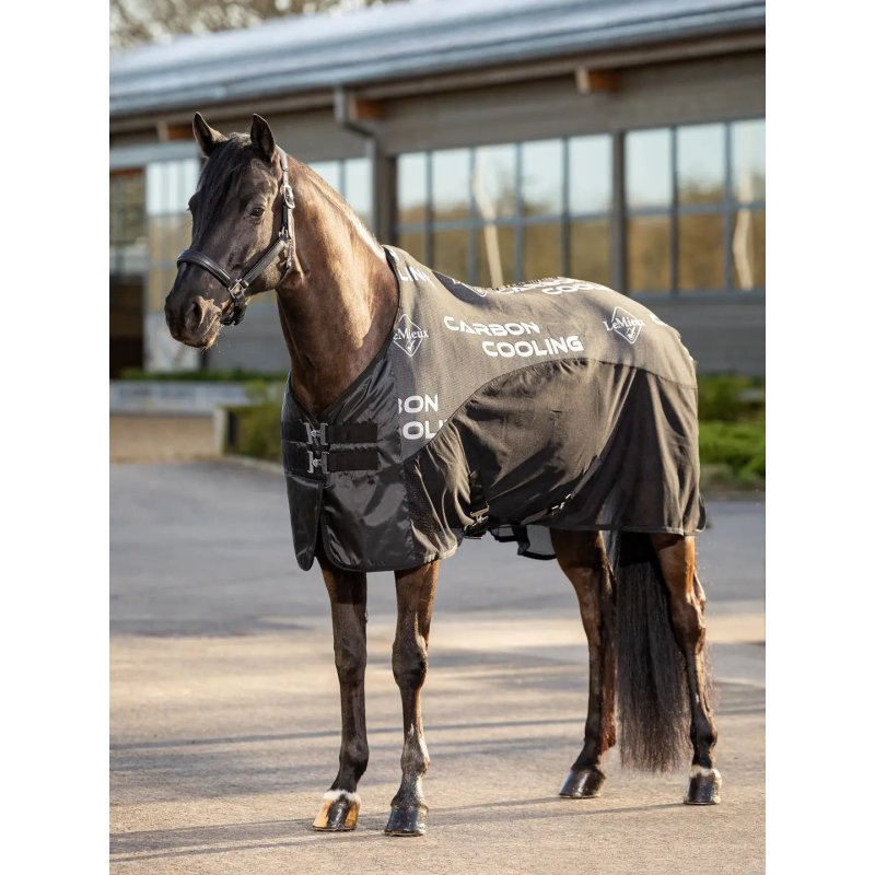 Lemieux - Carbon Cooler Rug - Black - 6'6