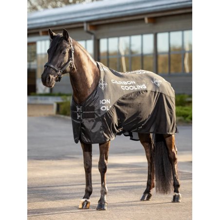 Lemieux - Carbon Cooler Rug - Black - 6'6