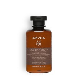 APIVITA Oily Dandruff Shampoo 250 ml Professional Unisex