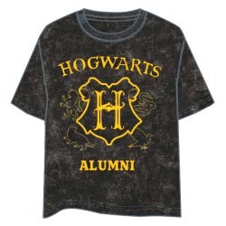 Harry Potter Hogwarts adult t-shirt