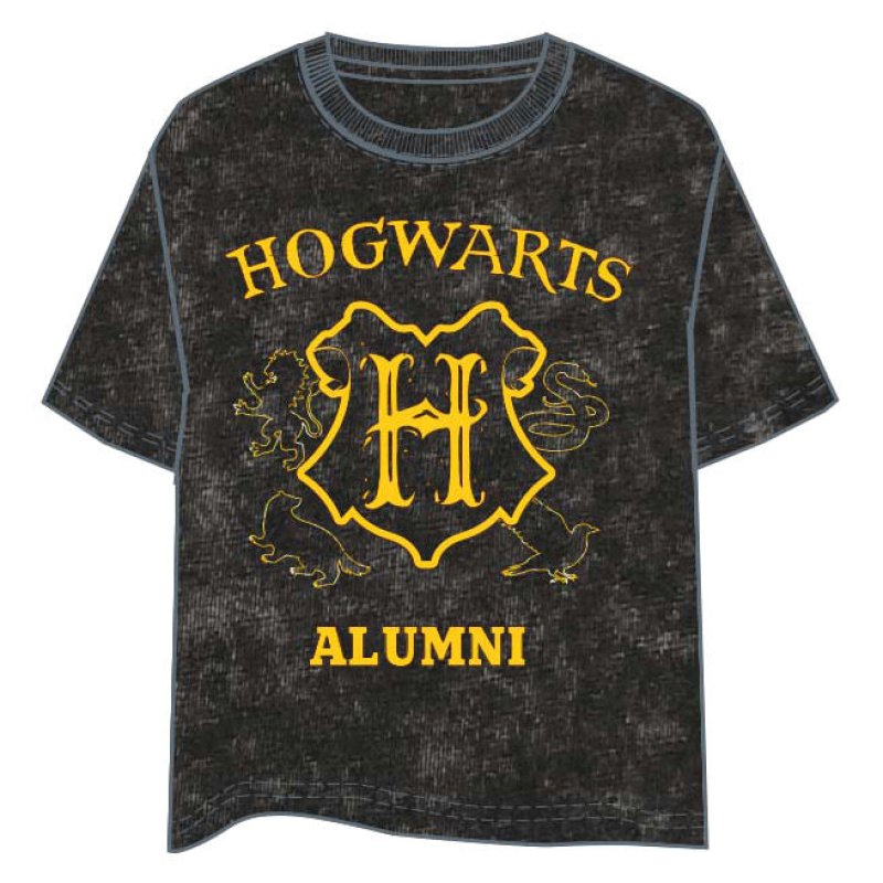 Harry Potter Hogwarts adult t-shirt