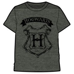 Harry Potter Hogwarts adult t-shirt