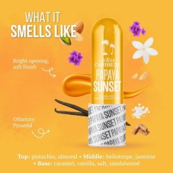 Body Mist 250ml Longlasting Travel Size Fragrance Spray