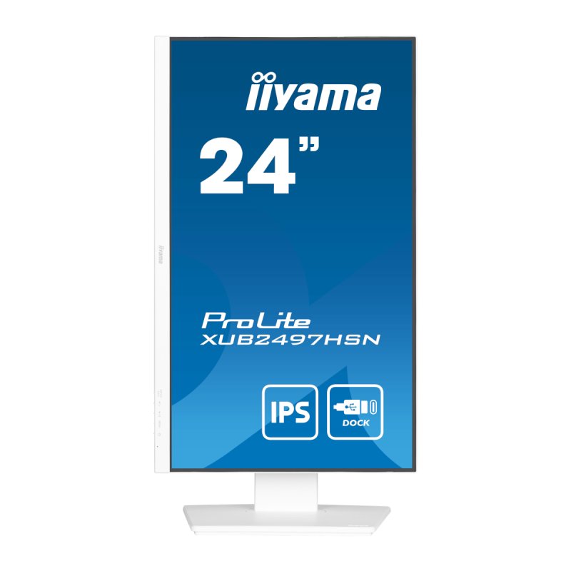 24\W LCD Business Full HD IPS USB-C Dock