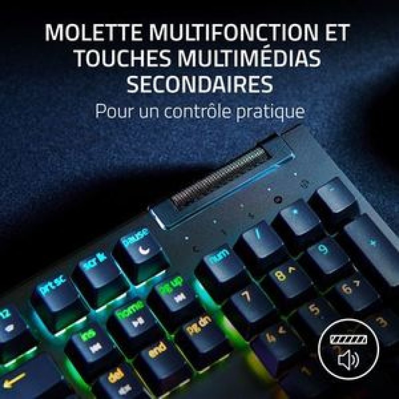 BLACKWIDOW V4 X EXCLU FNACCLAVIER GAMING