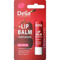 Delia Lip Balm Spf 30 Cherry Protective Lipstick 48g