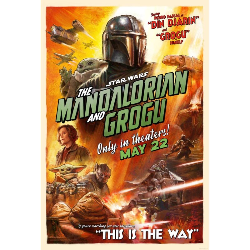 STAR WARS - Guide visuel Mandalorian et Grogu