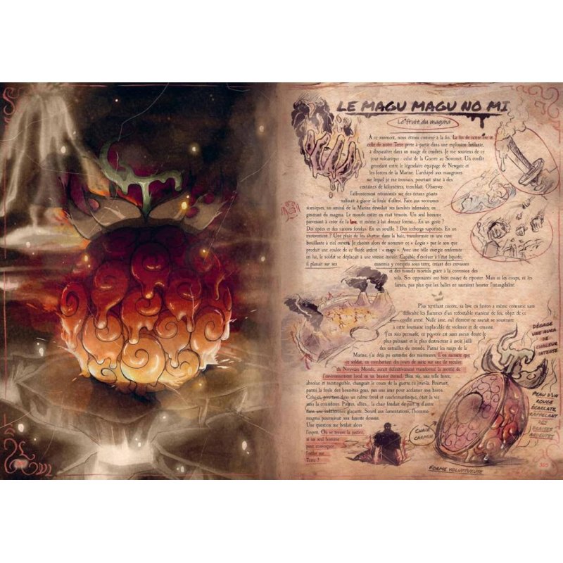ONE PIECE - FRUITS DE DEMON - L'encyclopédie