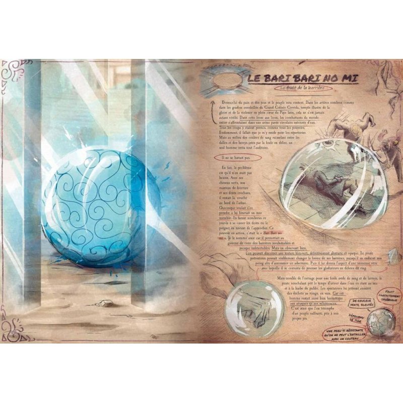 ONE PIECE - FRUITS DE DEMON - L'encyclopédie