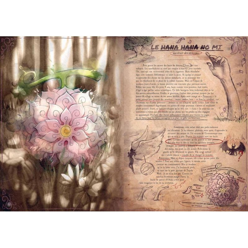 ONE PIECE - FRUITS DE DEMON - L'encyclopédie