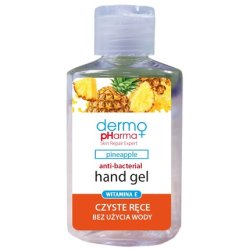 Chlapu Chlap Antibacterial Hand Gel 60ml Pineapple