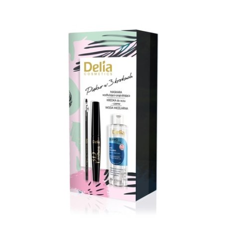 Delia Makeup Set 2 Includes Micellar Water Mascara And Pencil