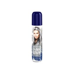 Venita 1day Color Spray Hair Coloring No 6 Silver Shine Silver 50ml