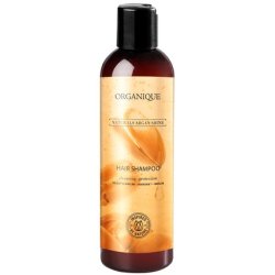 Organique Argan Shine Shampoo For Dry And Dull Hair 250 Ml