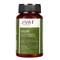 Ajurweda Jiva Ayurveda Giloy Dietary Supplement Supporting Immunity And Stress Relief Capsules 60 Pcs