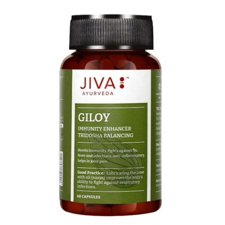 Ajurweda Jiva Ayurveda Giloy Dietary Supplement Supporting Immunity And Stress Relief Capsules 60 Pcs