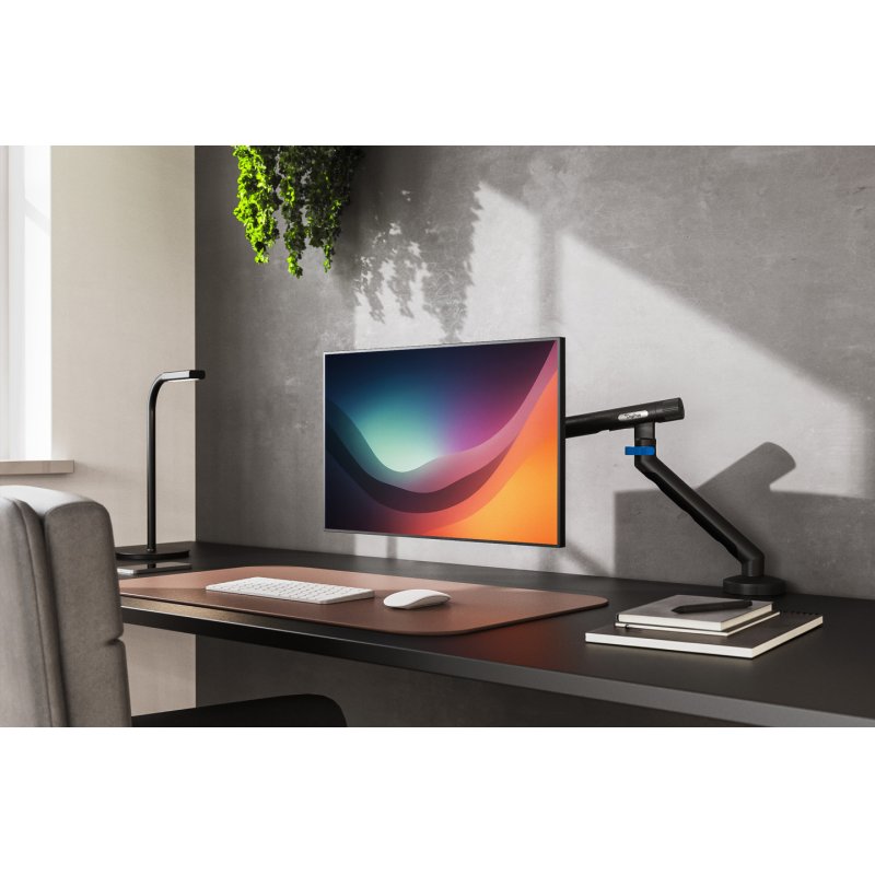 Digitus Support d'écran Single Design, 35", 10 kg