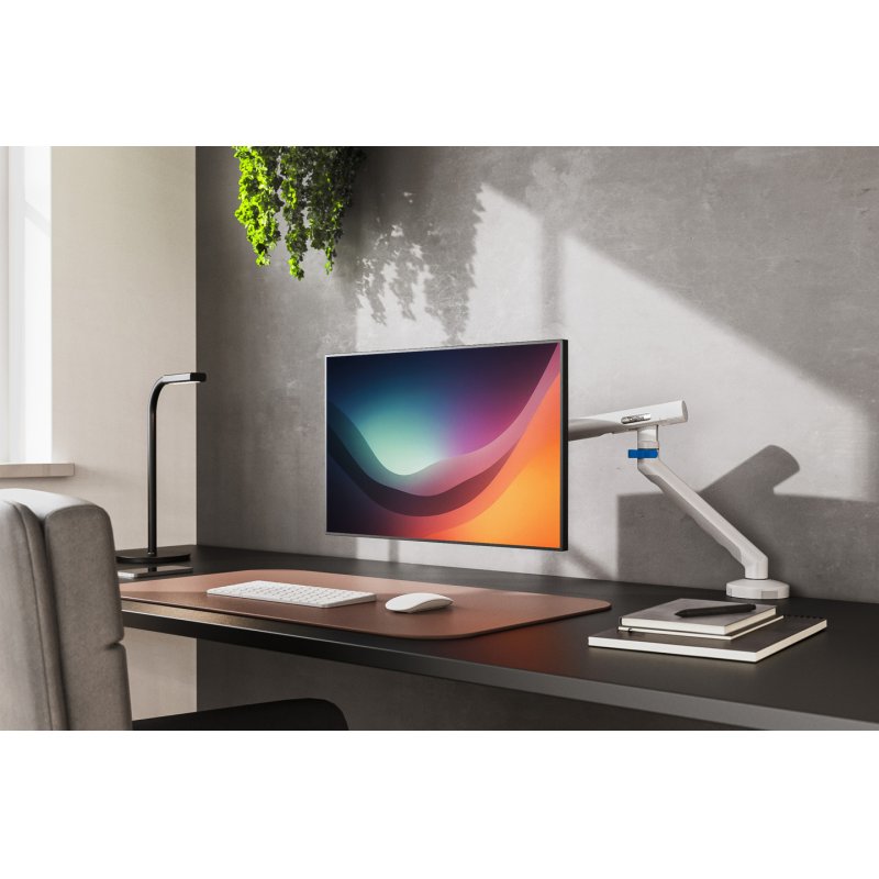 Digitus Single design monitor mount, 35", 10 kg