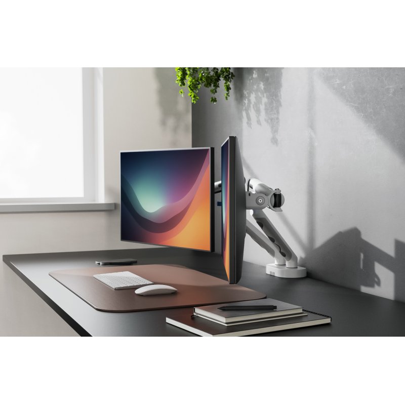 Digitus Support d'écran Dual Design, 2x 35", 2x 10 kg
