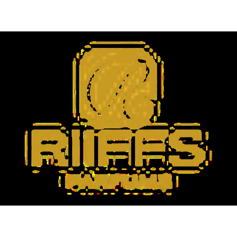 Elixir Leather Eau de Parfum 100ml for Men by Riiffs - Oriental French Perfume