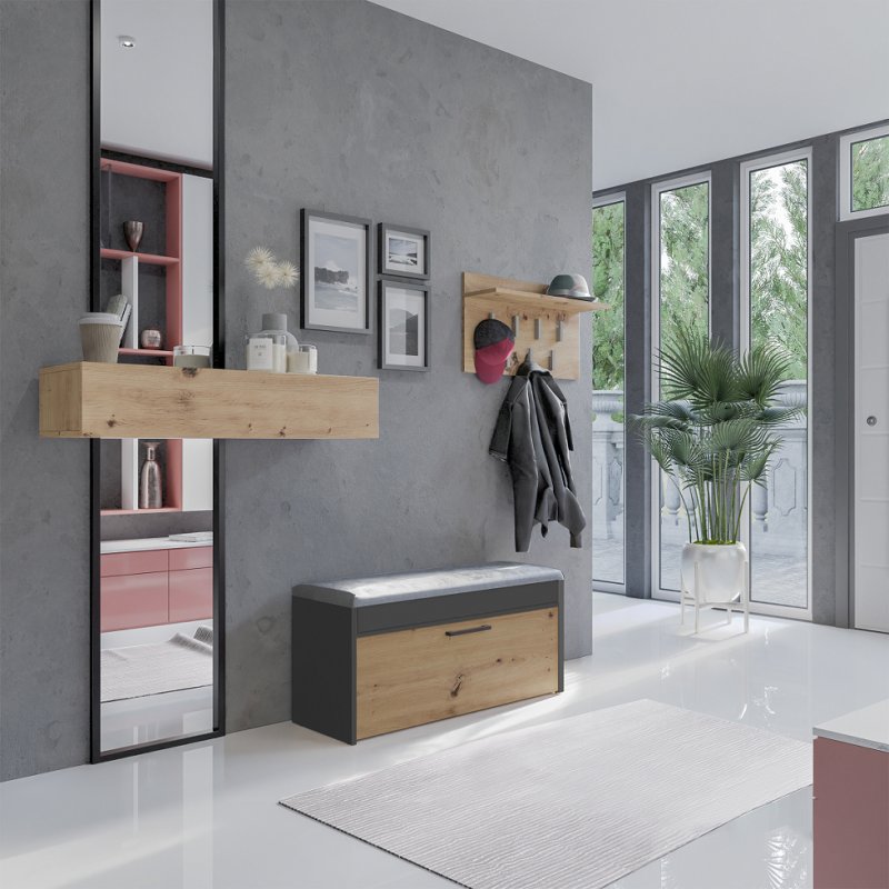 Topeshop PARMA SZAFKA ANT/ART Organisateur pour chaussures Fermé Anthracite, Chêne