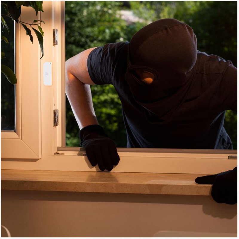 Tellur TLL331091 door/window sensor Wireless White